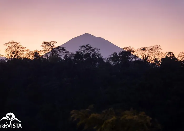 Sunia Jungle By Bukit Vista Seribatu